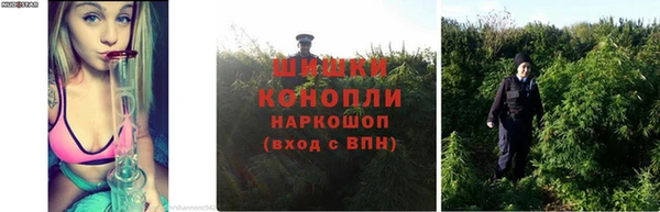 кокаин премиум Коряжма