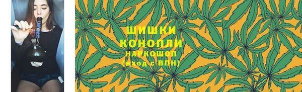 МДПВ Костерёво