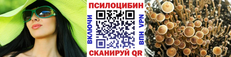 Галлюциногенные грибы прущие грибы  Купить закладки  Губкин 